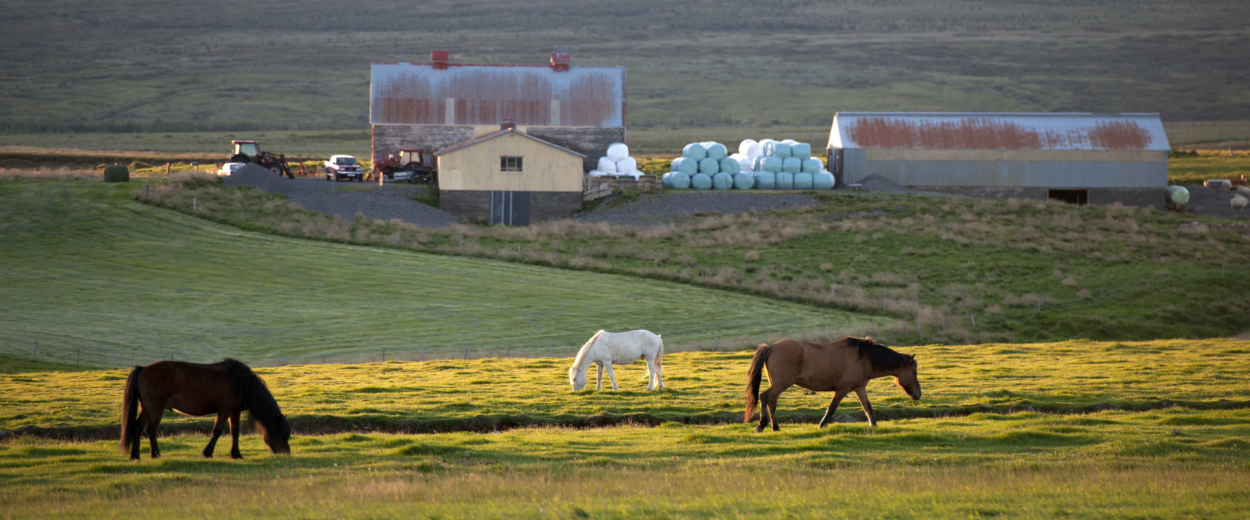 14 acres in Washington County